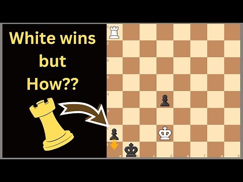 Brilliant Chess Puzzle with Zugzwang PLAN!