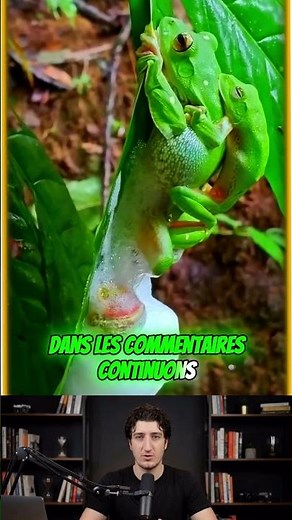 Le secret incroyable de ces grenouilles ! 🐸😲