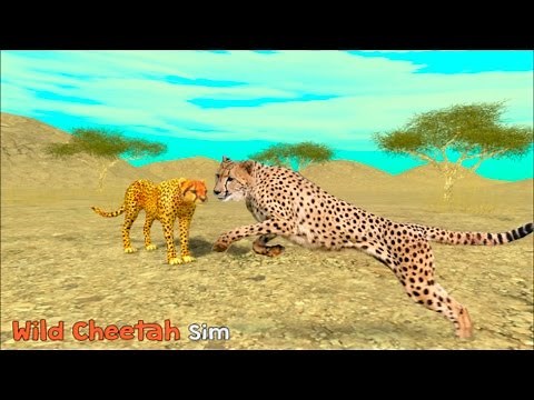 Wild Cheetah Simulator 3D - By Turbo Rocket Games - Simulation - iTunes/Android