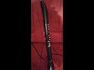 AKAI Professional EWI SOLO für Anfänger/Beginner mit Blaswandler elektronisches Blasinstrument