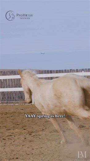 6.2K views · 76 reactions | Trapper is leaping into spring-literally....