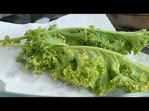 CURLY KALE RECIPES | CURLY KALE CRISPS | HOW TO MAKE CURLY KALE CRISPS | HOW TO COOK CURLY KALE