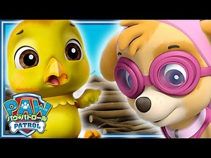 🟡 ワシをすくえ 🟡 | パウ・パトロール公式