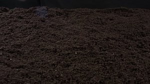 Farm Soil Background 4k Stock Footage Video (100% Royalty-free) 10125758 | Shutterstock