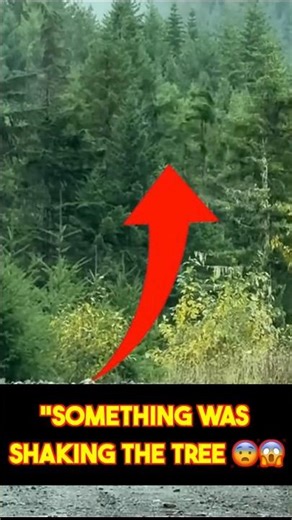 He Saw a Tree Moving Like It Was Alive… But It Wasn’t