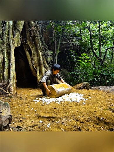 Build a Warm Shelter Inside a Giant Ancient Tree