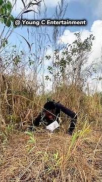 Going To The Python River At Night