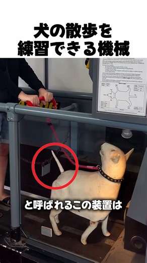 犬の散歩を練習できる機械