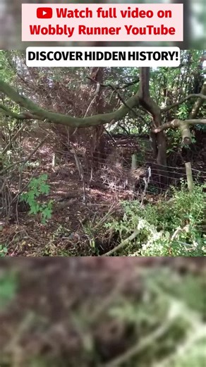 Take a closer look at the historic Helmsley Station, which closed to passengers in 1953. Discover its fascinating past and the remnants of its once-bustling activity. Join us as we explore this piece of railway history!#HelmsleyStation #AbandonedRailways #BritishRailwayHistory #TransportHistory #LostRailways