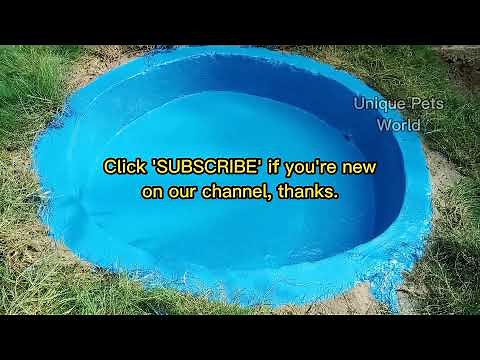 Building Swimming Pools Time Lapse | DIY Duck Pond | How To Make Duck Pond | Ducklings Ducks Batakh