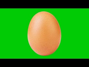 egg green screen video | egg animation video | egg chorma key background | green screen effect |