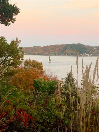 Mimi's Signature on Reels