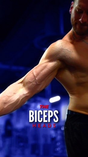 381K views · 164 reactions | Remember this  Biceps training does...