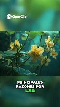 Fruitless Cucumbers: The Secret Reason Revealed!