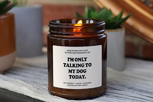 I'm Only Talking to My Dog Today Candle, Funny Pet Lover Gift, Sassy Dog Candle, Funny Gift for Dog Owners, Pet Appreciation Candle - Etsy
