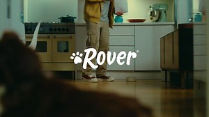 Personalised care when you need it. Let Rover introduce you to your next loving sitter or walker in your area. | Rover.com