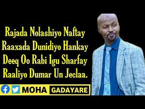 Al Fanaan Lafoole, Hees 2021 Lyrics