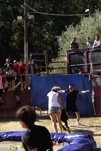 Must-See Bullfighting: Iconic Compilation! #bullfighting #funny #extremesports #dangerous #crazy