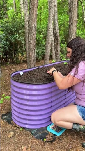 Hügelkultur Gardening Guide: Setting Up a Metal Raised Bed 🌻💜 #shorts #garden