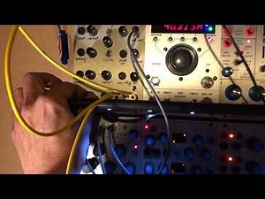11.12.2024 Buchla & Scrotum Lab