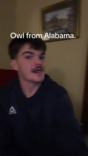 This is what an owl from Alabama would sound like. #owl #alabama #southernaccent #south #southalabama