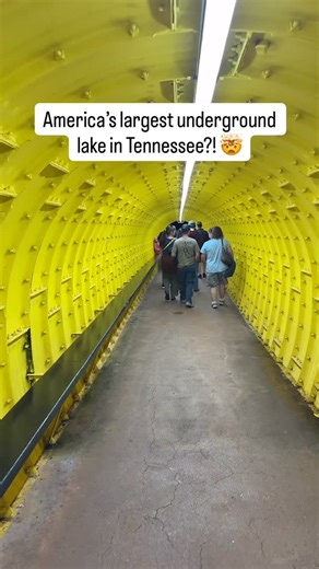 Did you know that in Tennessee, you can tour the largest underground lake in America? 👀 Hidden deep inside a mountain near Sweetwater is The Lost Sea. The cave has been explored for centuries, even showing footprints from a giant prehistoric jaguar 🐆 But the underground lake itself wasn’t fully discovered until less than a hundred years ago, and scientists still don’t know where the water comes from or where it goes. It sits about 140 feet underground, and once you reach it, you’ll take a boat