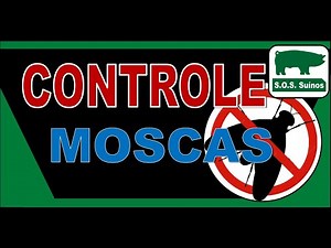 PIG FARMING: SOS PIGS - FLY CONTROL