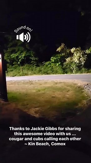 Comox Valley Wildlife Sightings on Reels