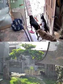 Simple life: early mornings buying malunggay pandesal right in front of our home. 😊