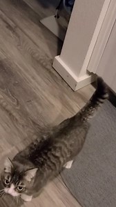 23K views · 2.4K reactions | Hi friends, I am reaching out because...