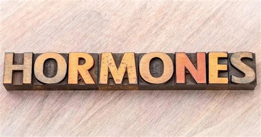 శరీరంలో ఈ హార్మోన్‌ ఎక్కువ రిలీజ్‌ అయితే.. బీపీ అమాంతం పెరిగిపోతుంది..!