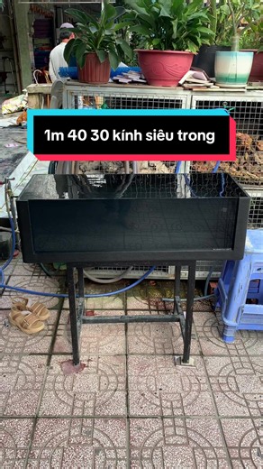 Này đá ko được rồi ae 😅 #TuCa #composite #hocacanh