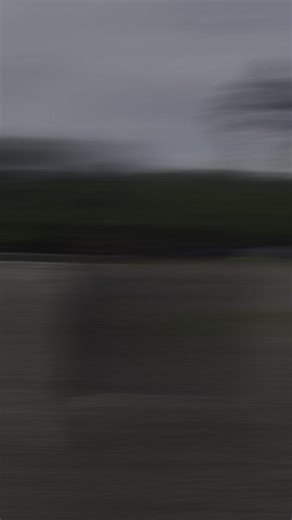 Card Game Guide: Steps to Play and Win