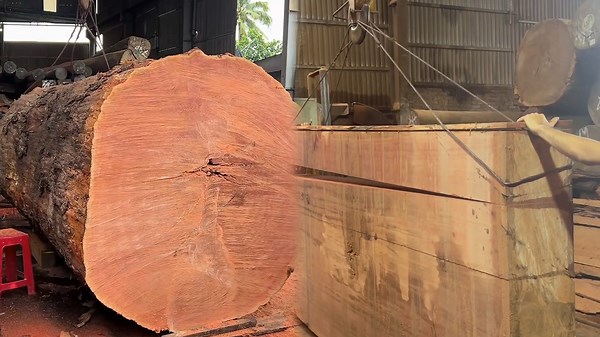 Watch Giant Saws In Action At The Largest Sawmill