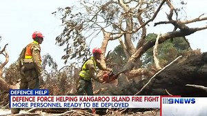 South Australian Defence Force personnel are playing a vital role supporting the firefight and recovery efforts around the country. #9News | 9 News Adelaide