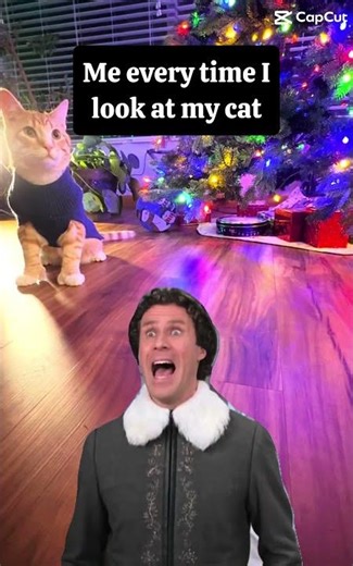 Buddy the Elf Was Talking About My Cat
