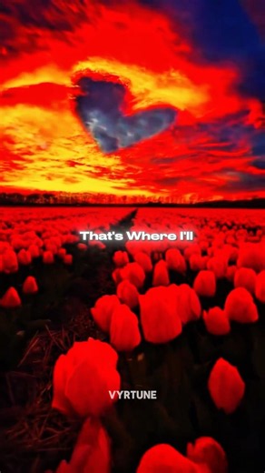 Die With A Smile (Lyrics) - Lady Gaga & Bruno Mars | Aesthetic | English Songs #lyrics #ladygaga