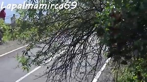 Drift Challenge Who is the best | DRIFT ARENA | Facebook