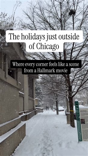 The holiday season in Chicago and the near-in suburbs like Oak Park / River Forest hits different—in the best, most magical way. From Home for the Holidays in Oak Park to the Merry, Merry Chicago! concerts at the Chicago Symphony Orchestra, ZooLights at Brookfield Zoo, and that life-changing hot cocoa from @wisecupoakpark or @brokentart, (pro tip: order their stunning olive-oil cake ahead of time for holiday dinner parties) this time of year feels soft, warm, and full of that hyper-local charm w