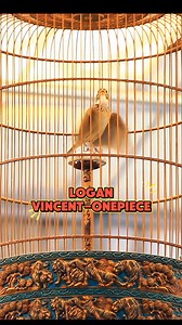 144 reactions · 23 comments | MASTER OF LEGEND Masterpiece Arena Kelas utama Branjangan Java Tiket 5,6 jt Nama burung: LOGAN Nama Pemilik: Vincent Anderson Alamat: One piece Hasil Breeding Bens Kopipait Tangerang #branjanganjava #logan #ringkopipaitbf #masterpiecearena | Maman Jaya | Facebook