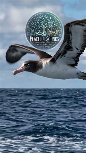 Soothing Bird Flight & Orchestral Waltz for Deep Relaxation 🌅 #ambientmusic #peacefulsounds
