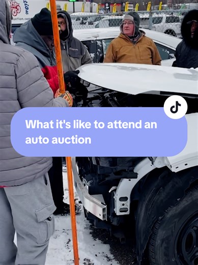 Experiencing the Excitement of an Auto Auction