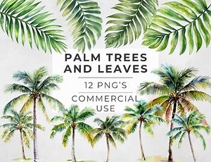 Palm Tree and Leaves Clipart