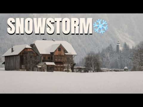 Can't Sleep? A Cozy Cabin in the Middle of a Snowstorm ❄️🏡 | 8 Hours of Deep Sleep (Black Screen)