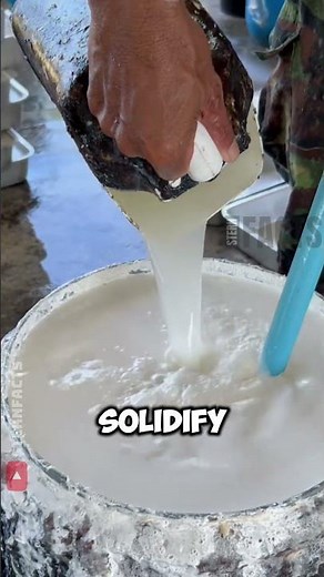 How Thailand Turns Liquid Latex Into Gold