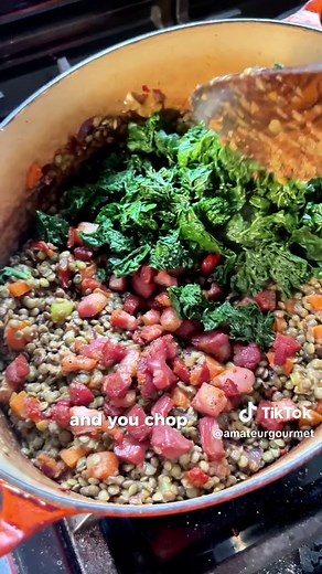 The best salmon and lentil dinner of your life. Get the full recipe on amateurgourmet.com! #seafood #salmon #lentils #dinner #dinnerparty #chef #foodporn #foryou #foodtiktok