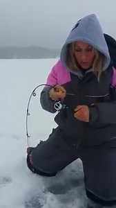 63K views · 142 reactions | Bluegill bonus!!! Fishing gills with a noodle rod and #3 fishing line. What a Blast!!! | Thefishing us | Facebook