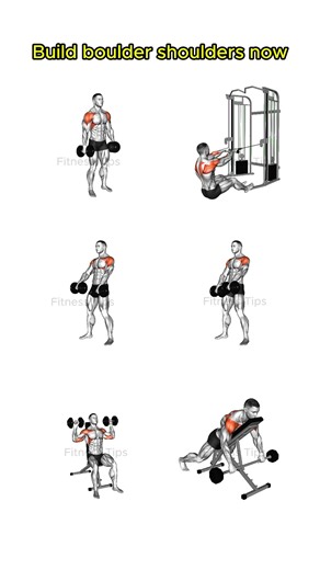 Build boulder shoulders now 🔥 #exercise #fitness #workout #fit #gym | Fitness Tips