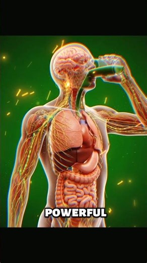 👉 Karela Juice Effects on Body | 3D Anatomy Explained#aihealth