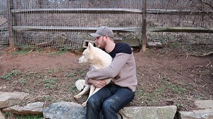 235K views · 487 reactions | Hugging my dog for too long.﻿ - https://youtu.be/HYKccPGI2rA | Taras Kul | Facebook